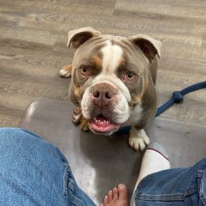 Meet your Posher, Bob